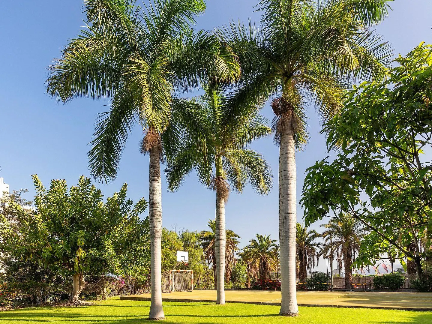 Precise Resort Tenerife Puerto de la Cruz  Hotel